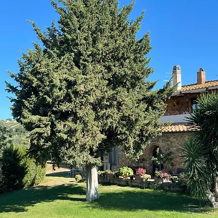 Tenuta Campospillo-3